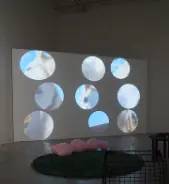 Goldfish