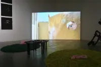 Goldfish